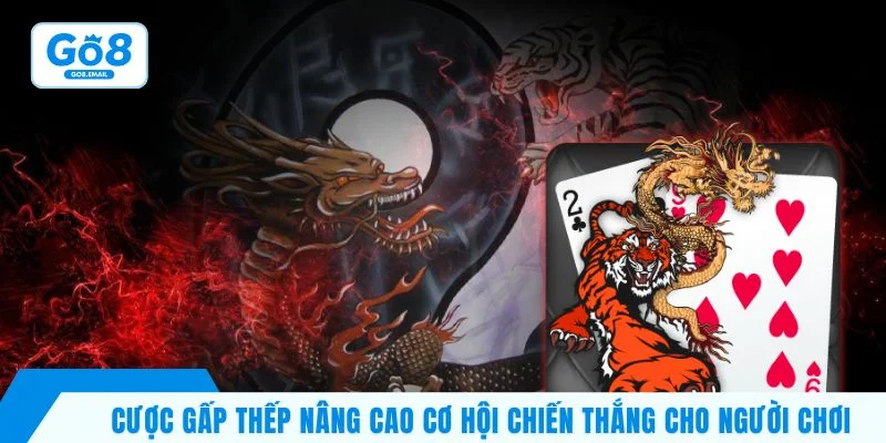 Cược gấp thếp nâng cao cơ hội chiến thắng cho người chơi